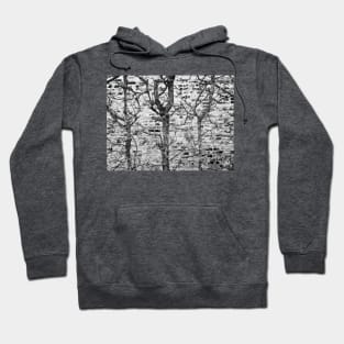 Brick Wall With Branches Hoodie